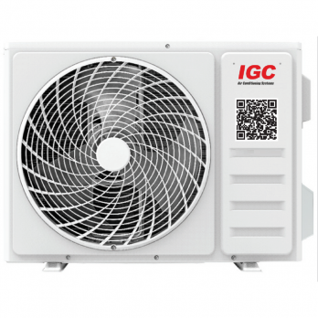 IGC RAS/RAC-24АТ